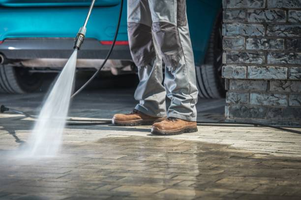 Best Soft Washing  in Newton, MS