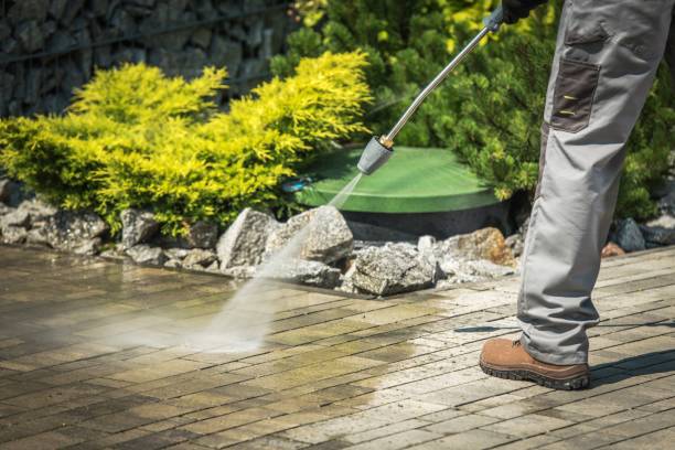 Best Fence Cleaning  in Newton, MS